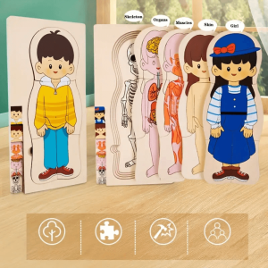 Puzzle educativ din lemn în straturi Anatomia Corpului uman - Fata, 3 ani+ a fost adăugat la favorite!